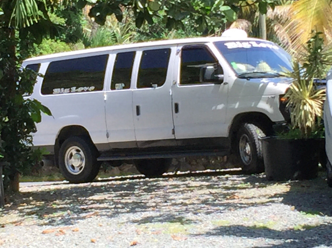 Big Love Taxi-夏洛特阿马利亚必去景点