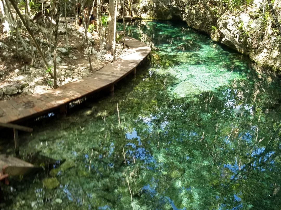 Cenotes Park Hidden Treasures-图伦必去景点