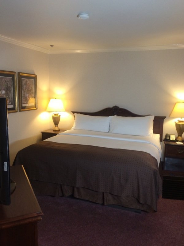 Holiday Inn Selma-Swancourt by IHG主图