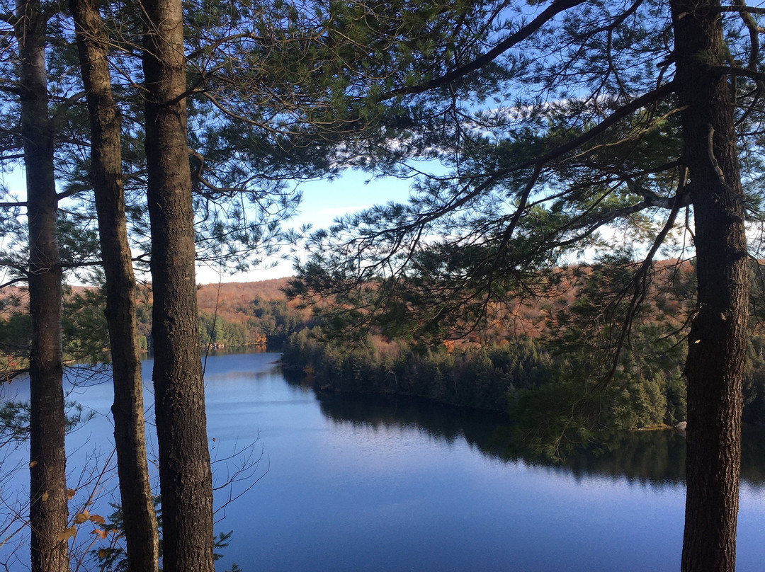 Limberlost Forest & Wildlife Reserve-亨茨维尔必去景点