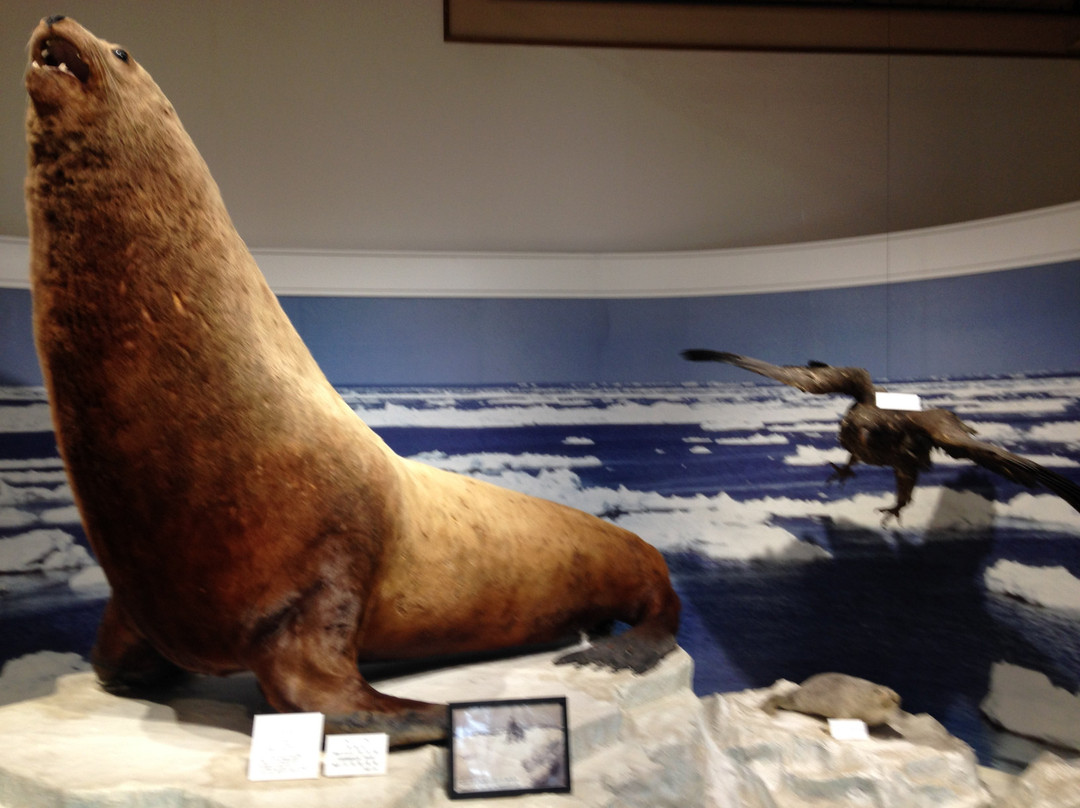 Yubetsucho Folk Museum-涌别町必去景点