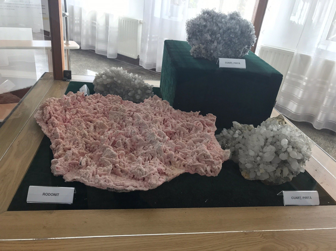 Muzeul Flori de Mina景点图片
