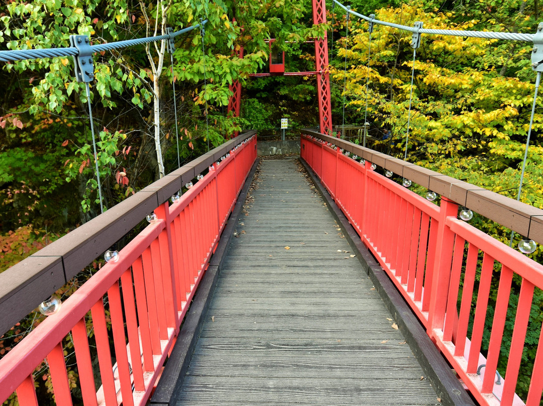 Futami Suspension Bridge景点图片