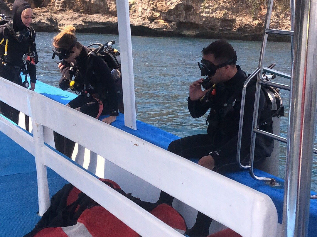 Sailfish Diving lembongan景点图片