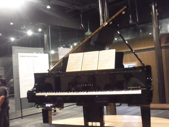 Zacatelco Municipality旅游景点-Casa de la Música de Viena en Puebla