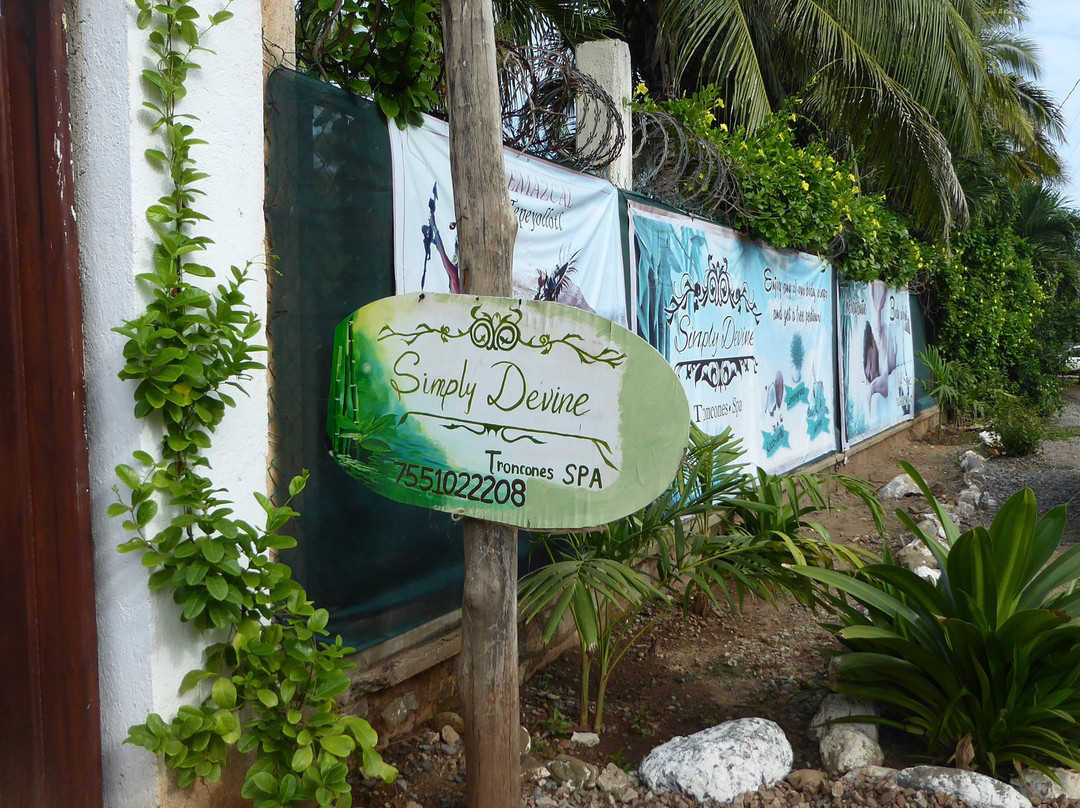 Troncones旅游景点-Simply Devine