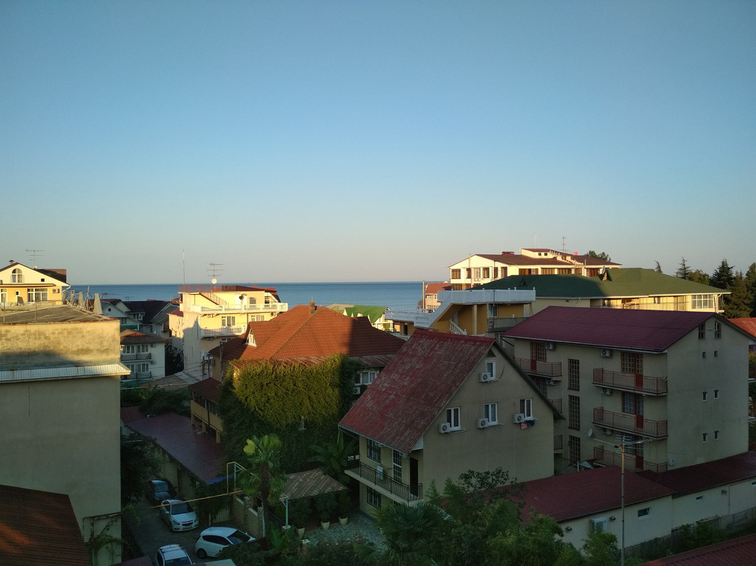 Ekodom Adler主图