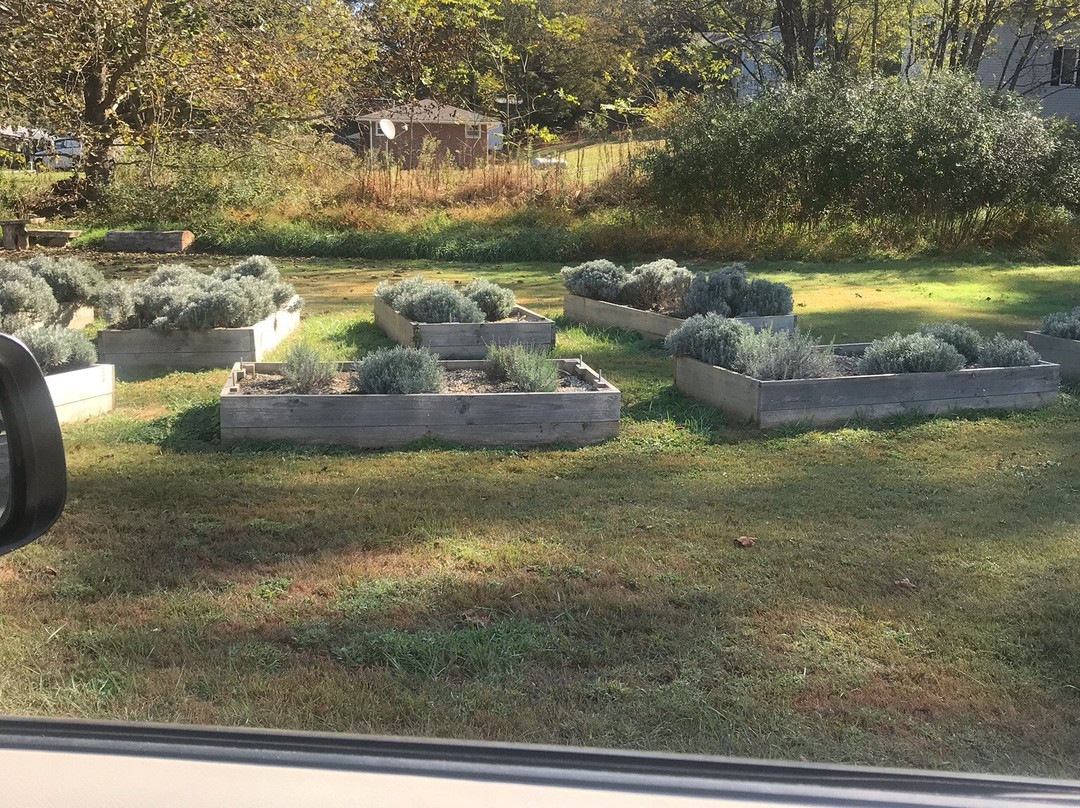 Valle Crucis Lavender House-Banner Elk必去景点