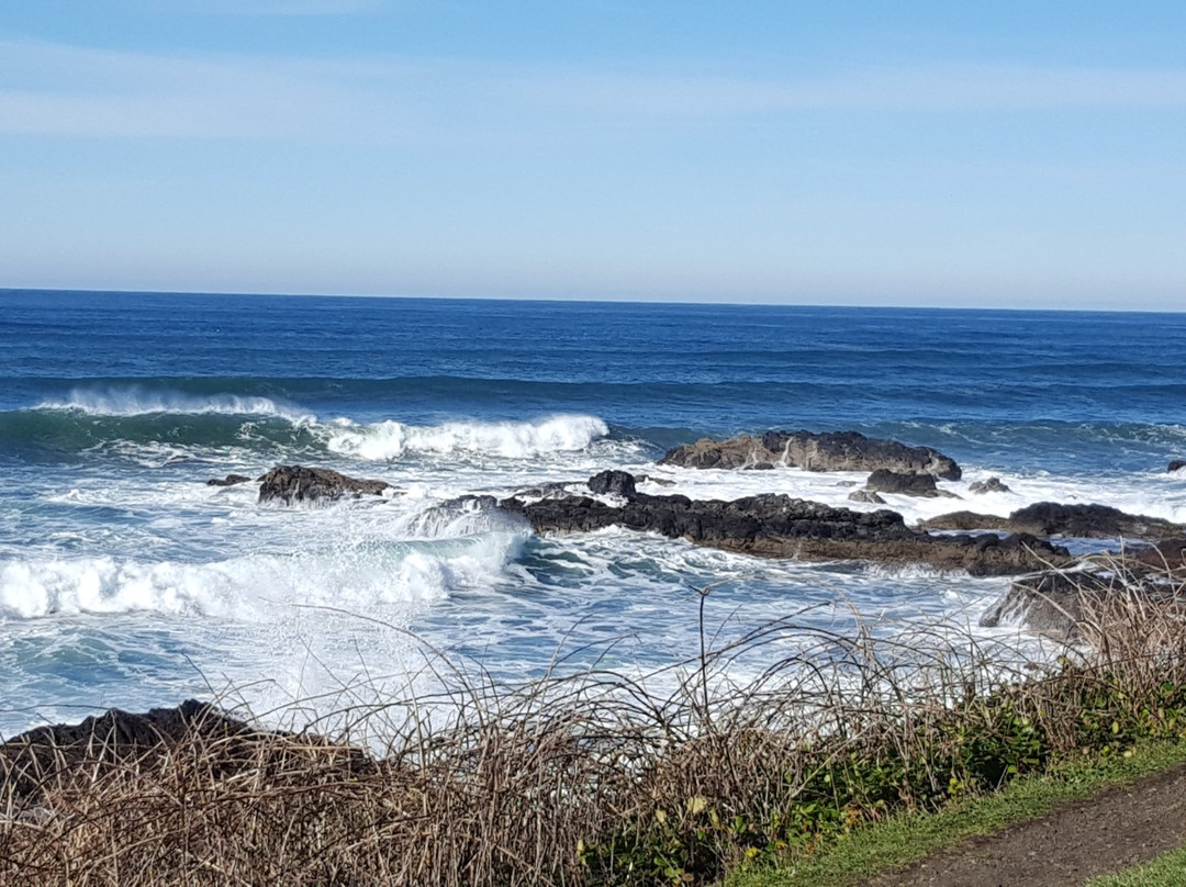 Yachats State Park