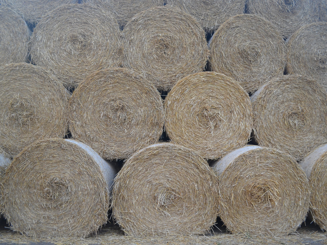 Lovesome Hill Farm主图