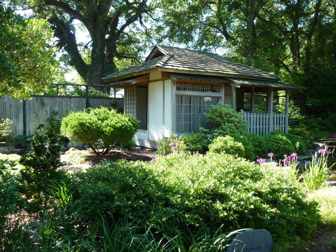 New Hanover County Arboretum景点图片