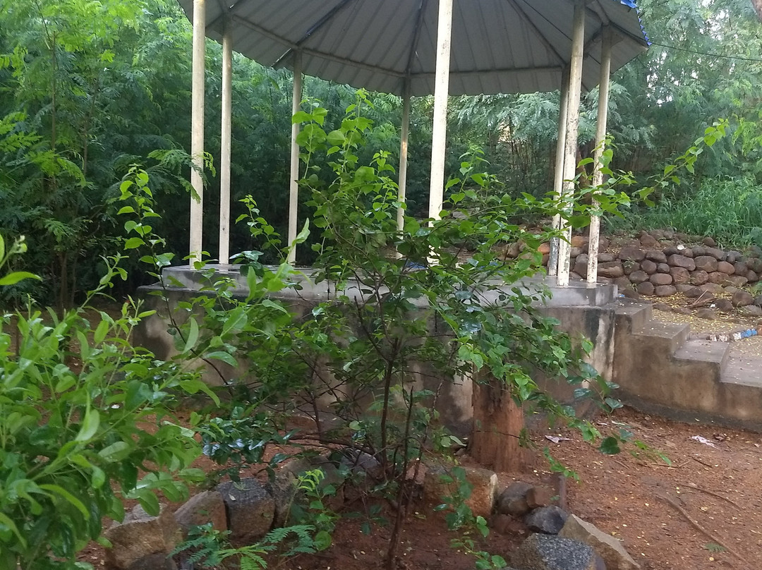 Vata Vriksha (Meditation Tree)景点图片