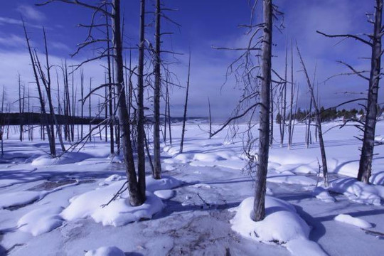 Yellowstone Adventures-西黄石镇必去景点