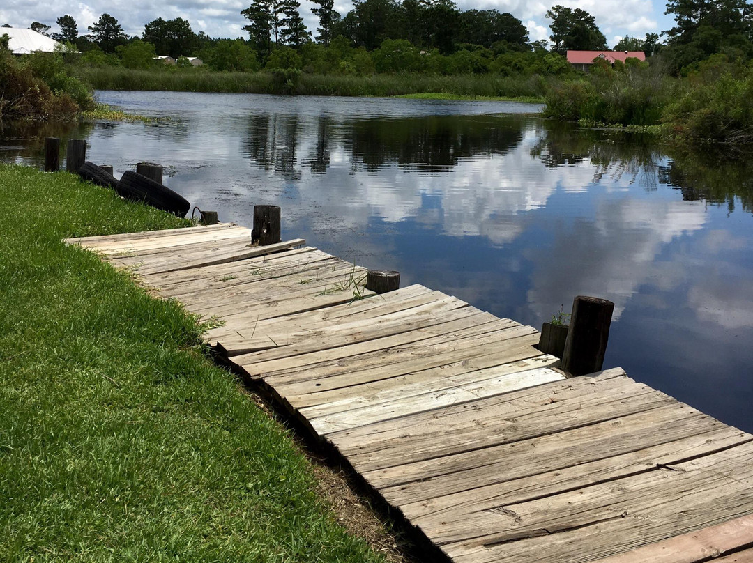 Turtle Landing Bar & Grill