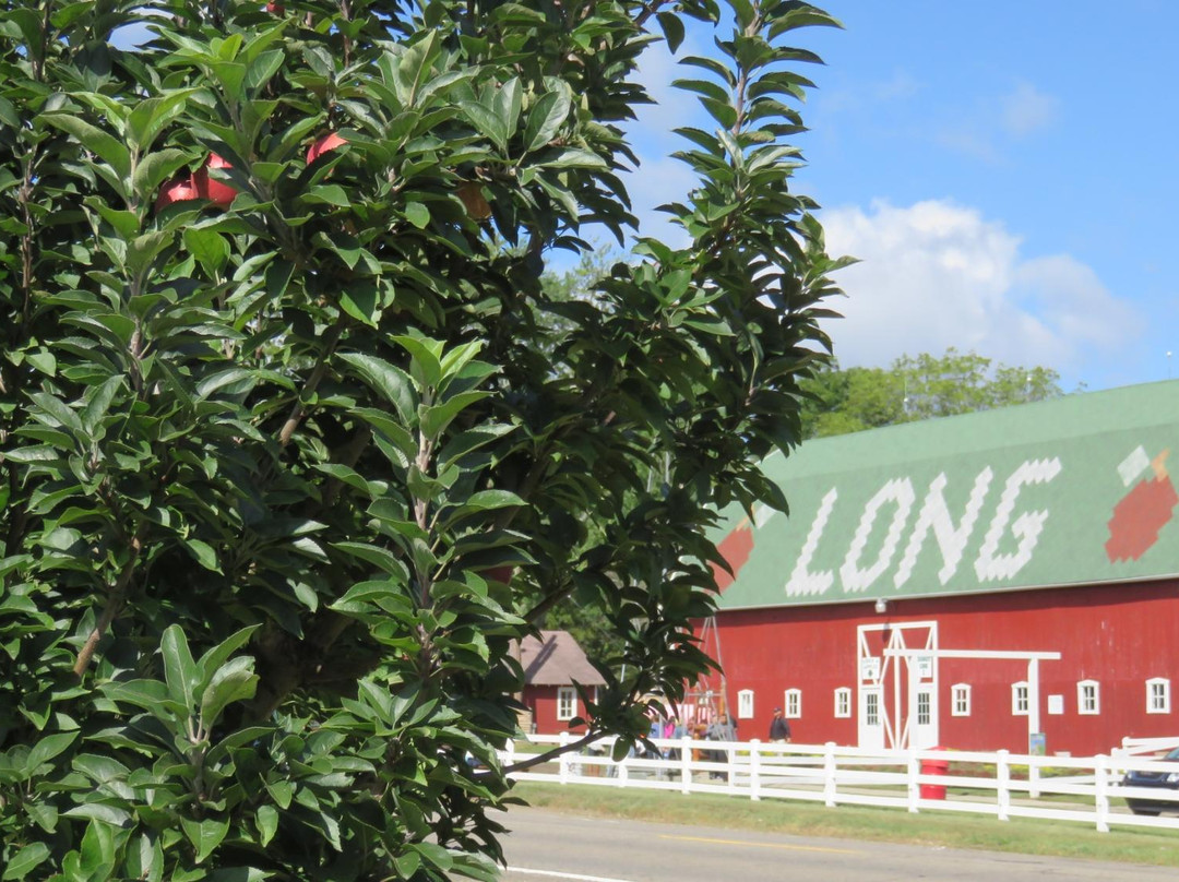 Long Family Orchard & Farm