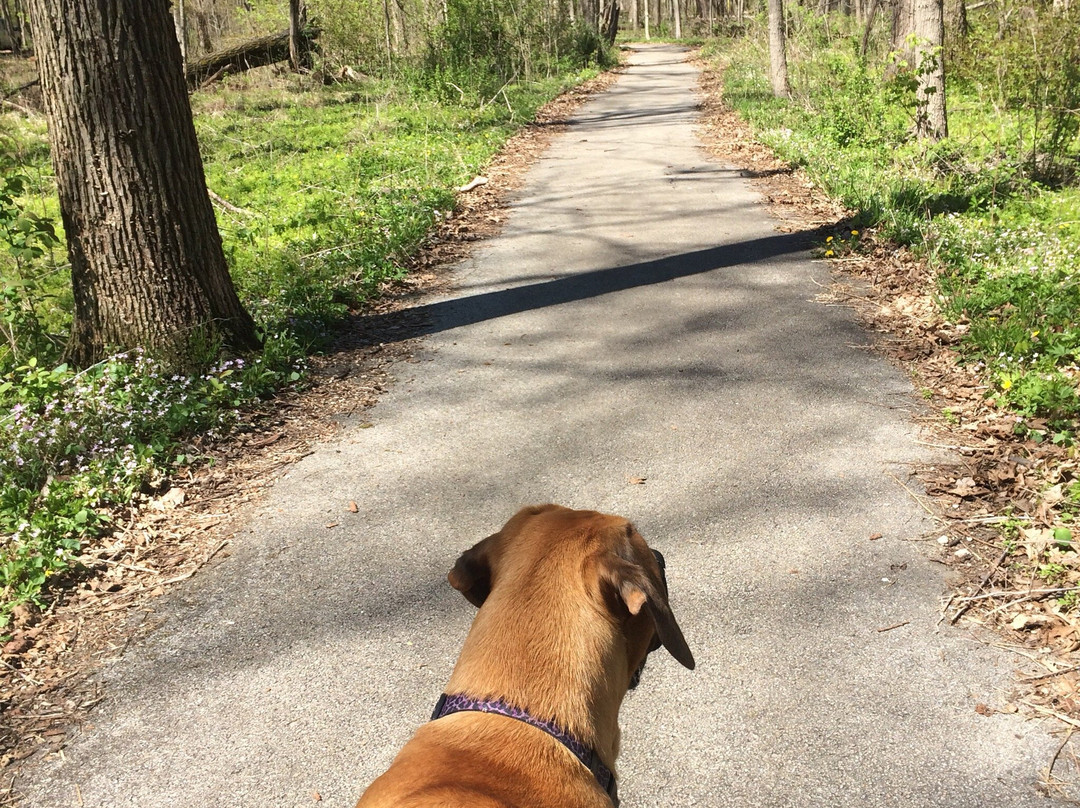 Old Plank Road Trail景点图片