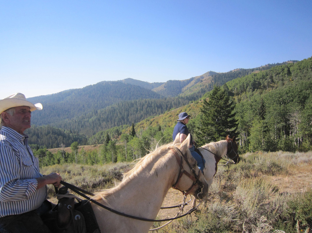 Bagley's Teton Mountain Ranch