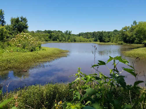 Constitution Lakes-亚特兰大必去景点