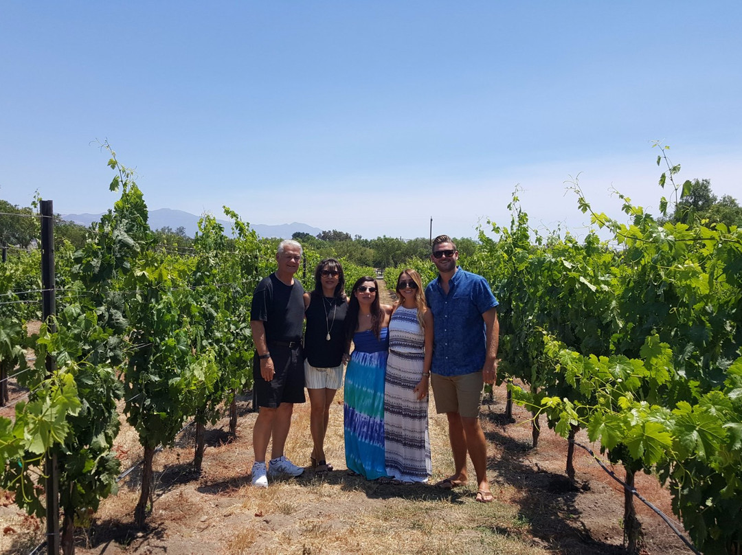 Explore Wines Tour-卡马里奥必去景点