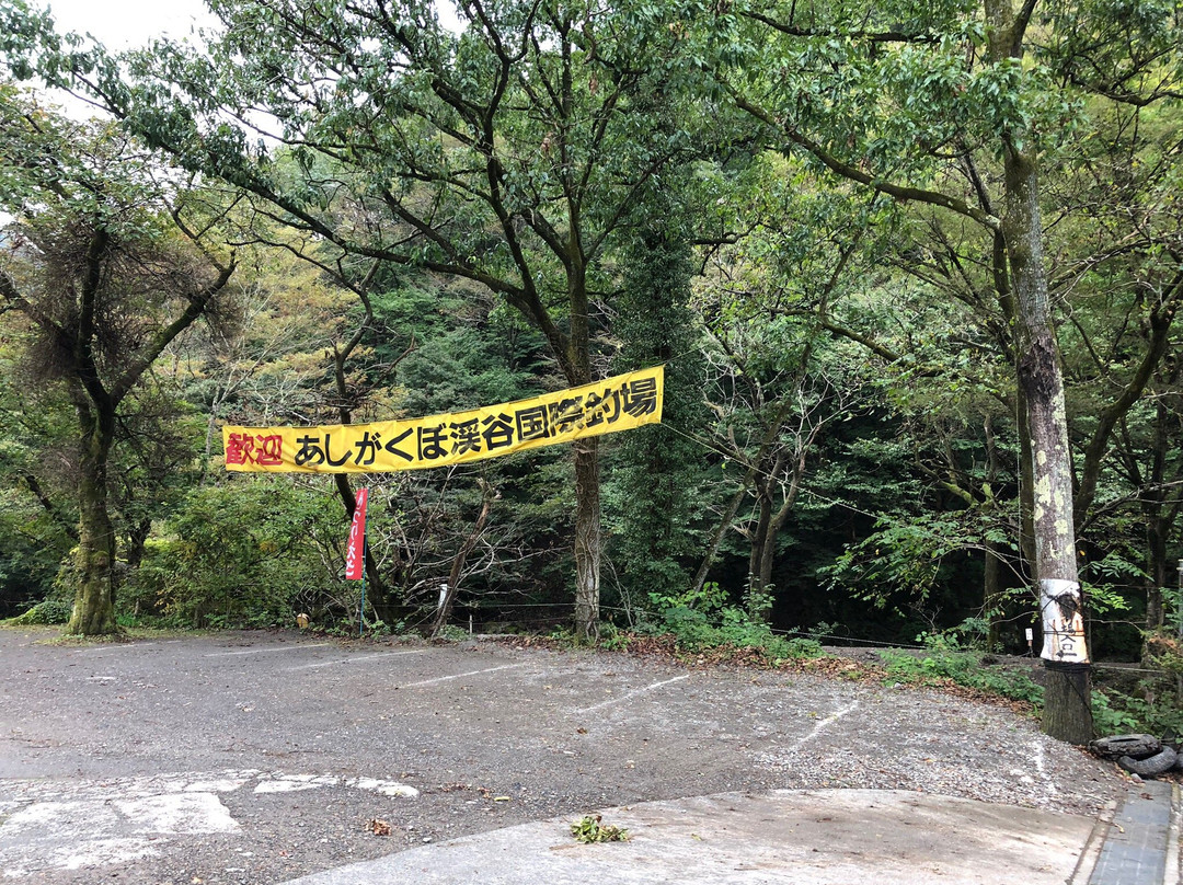 Ashigakubo Valley International Fishing place-横濑町必去景点