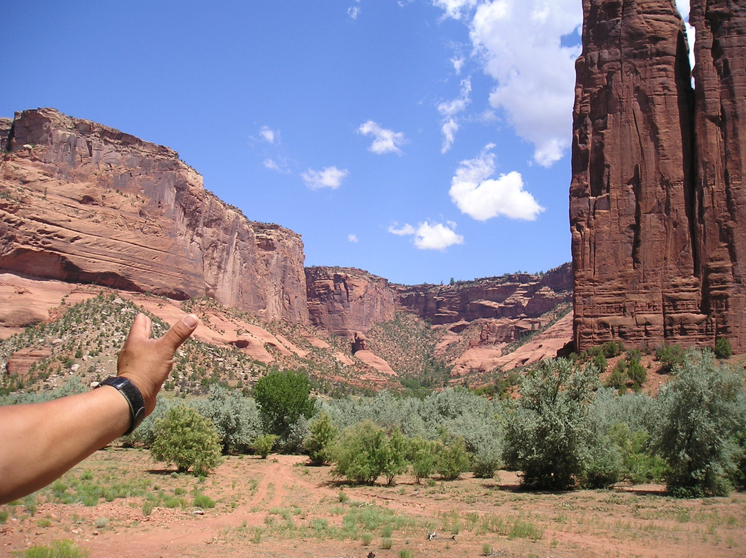 Canyon de Chelly Spider Rock Jeep Tours景点图片