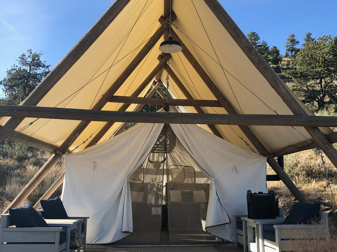 Hartsel酒店住宿-Black Tree Resort