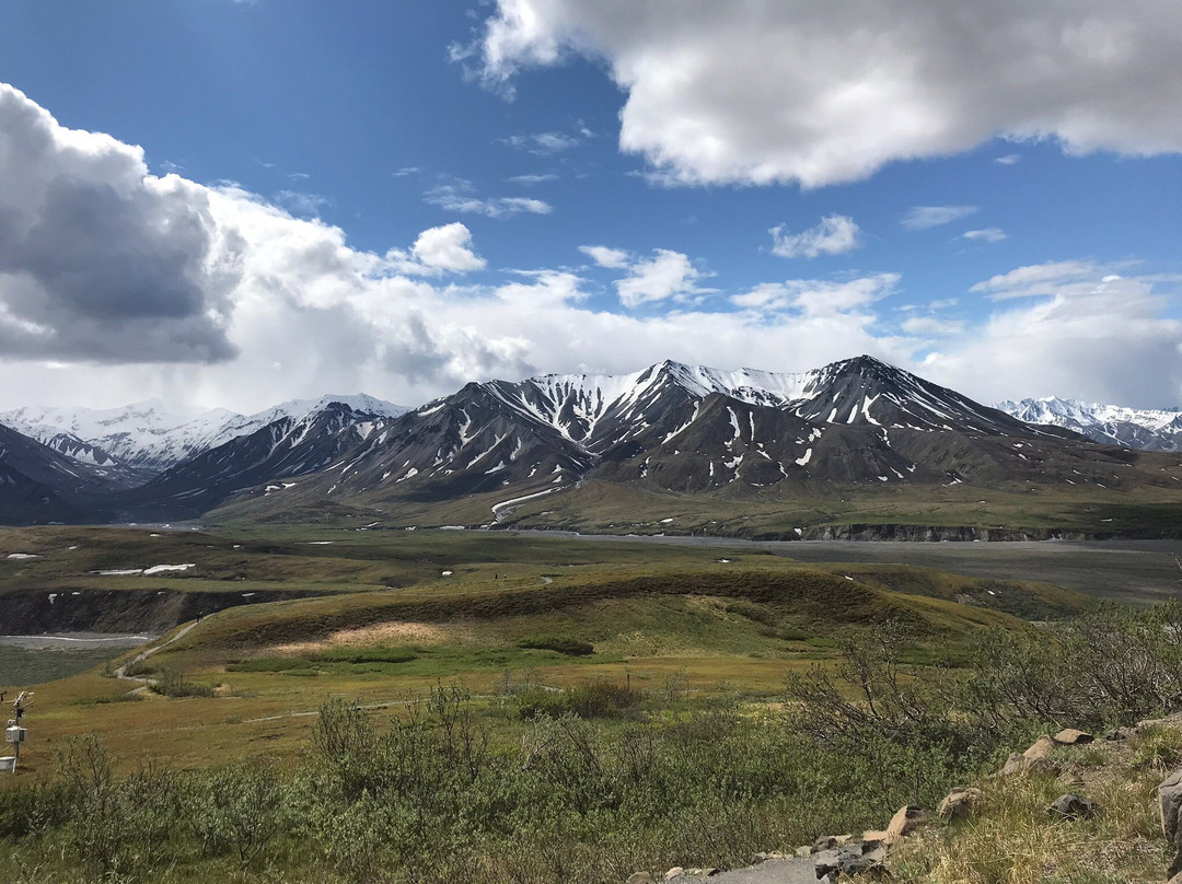 Denali Visitor Center景点图片