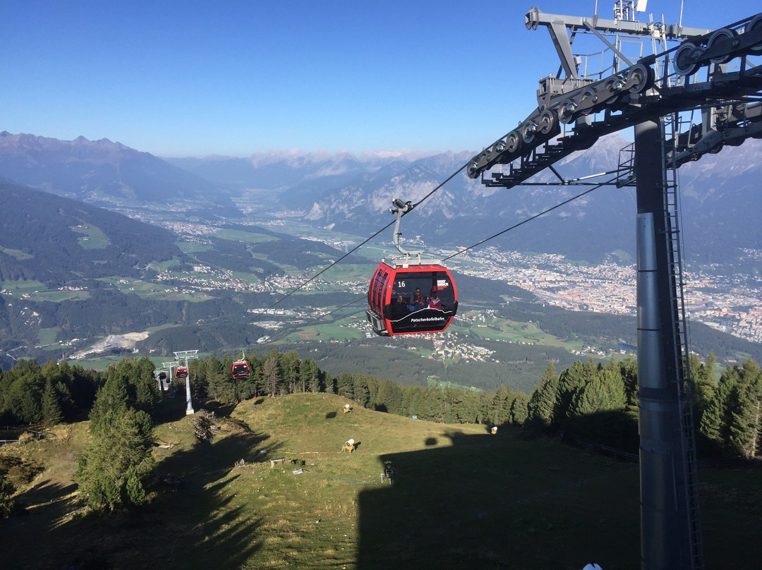 Alpengarten Patscherkofel景点图片