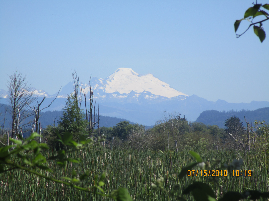 Skagit Wildlife Area景点图片