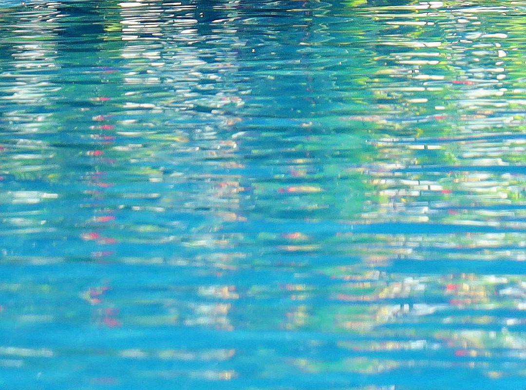 科马克塞瓦纳沙滩度假酒店主图