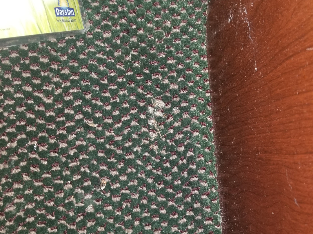 Days Inn by Wyndham Mountain Home主图