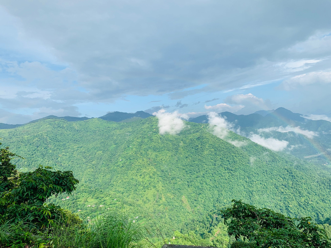 Homfortable Loshgyani主图