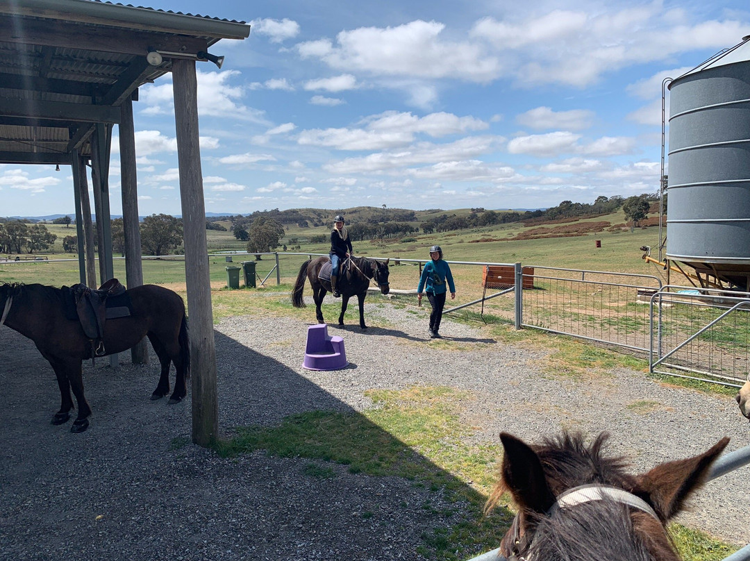 Burnelee Excursions on Horseback-穆任百特曼必去景点