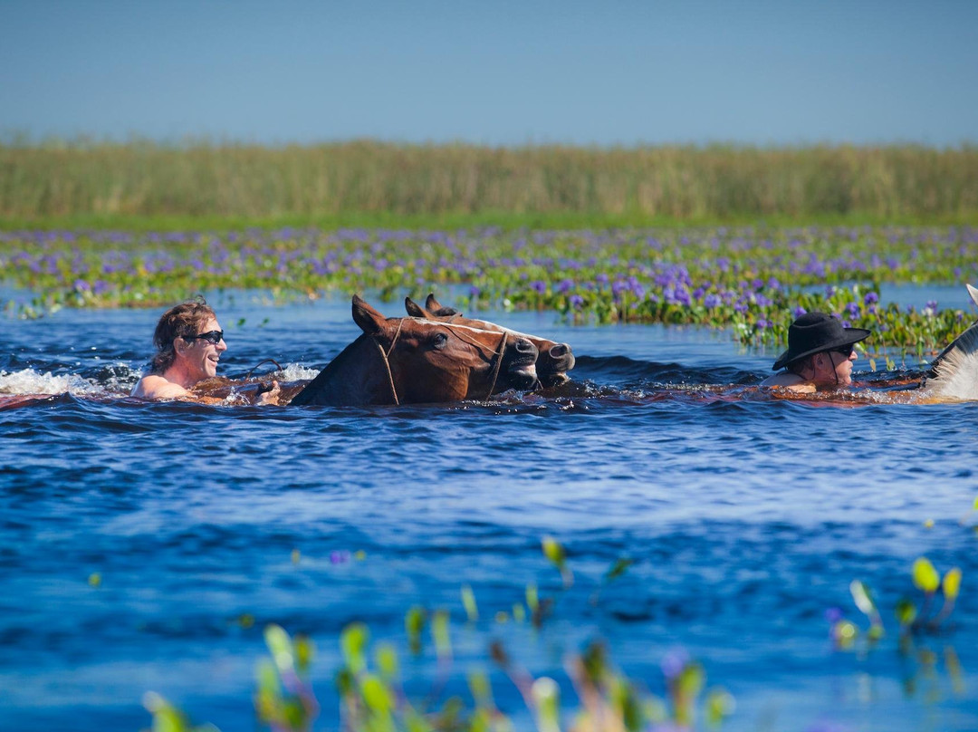 Iberá Explorer景点图片