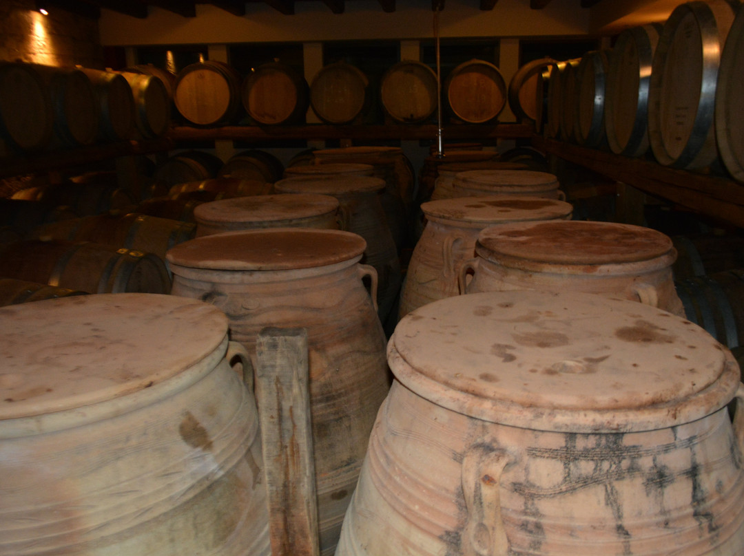 Tetramythos Wines-卡拉夫里塔必去景点