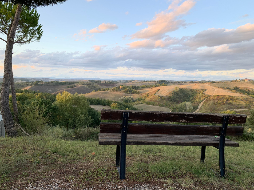 Fattoria Pieve A Salti主图