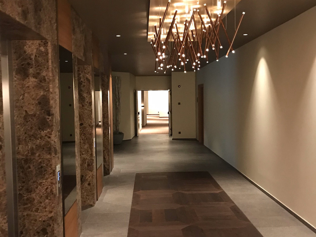 Lefay Resort & SPA Dolomiti主图