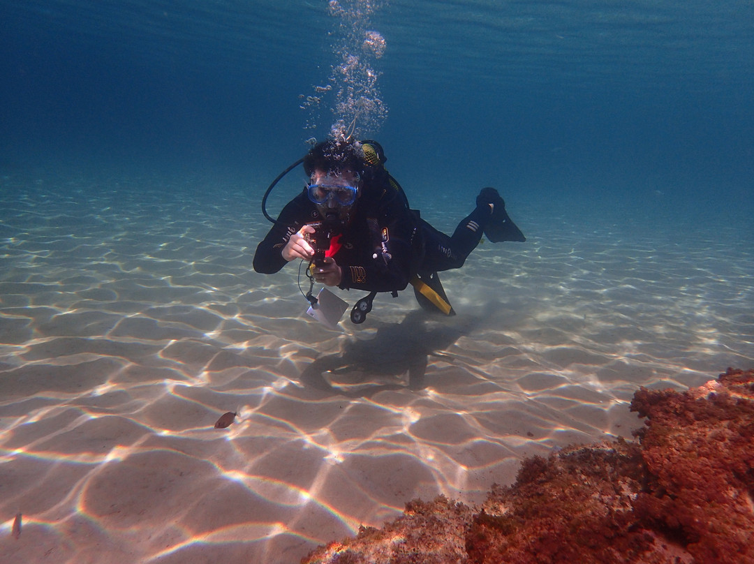 Acqua Life Dive Center-卡拉多尔必去景点