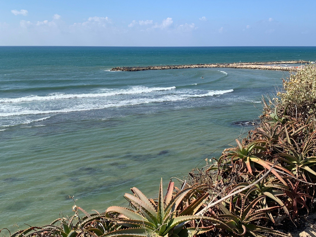 Independence Park-特拉维夫必去景点