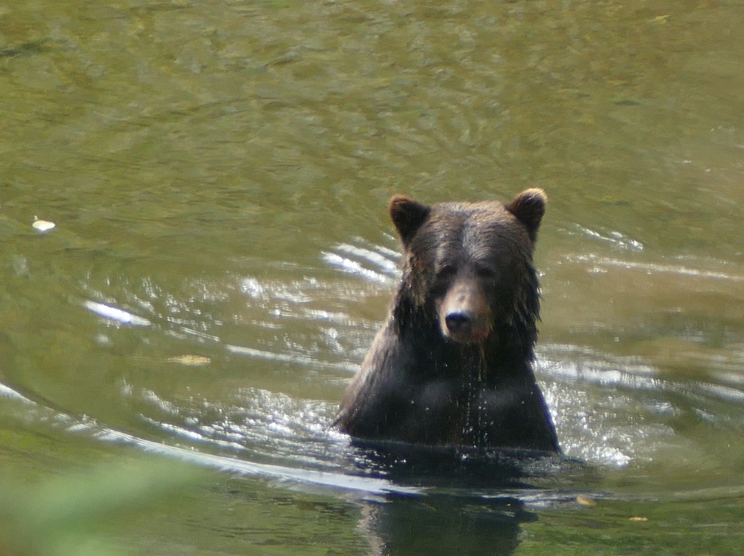 Tweedsmuir Provincial Park-Chilcotin District必去景点