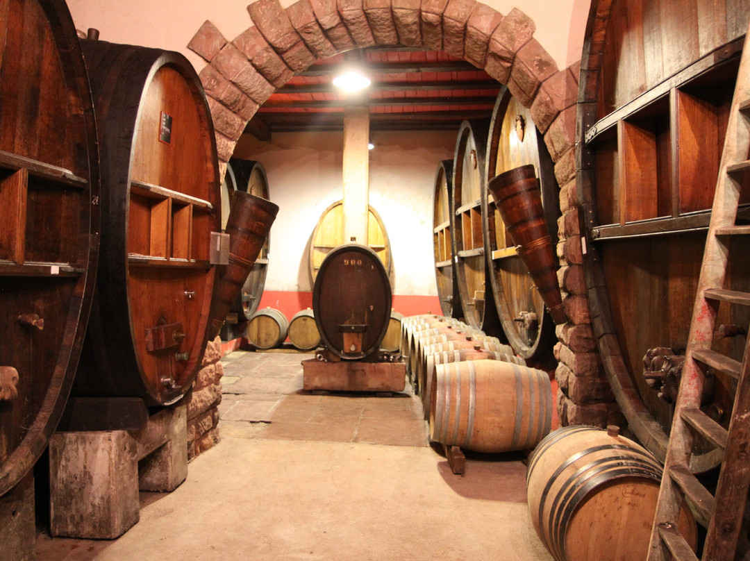 Jean Becker Le Vignoble aux 5 Sens-Zellenberg必去景点