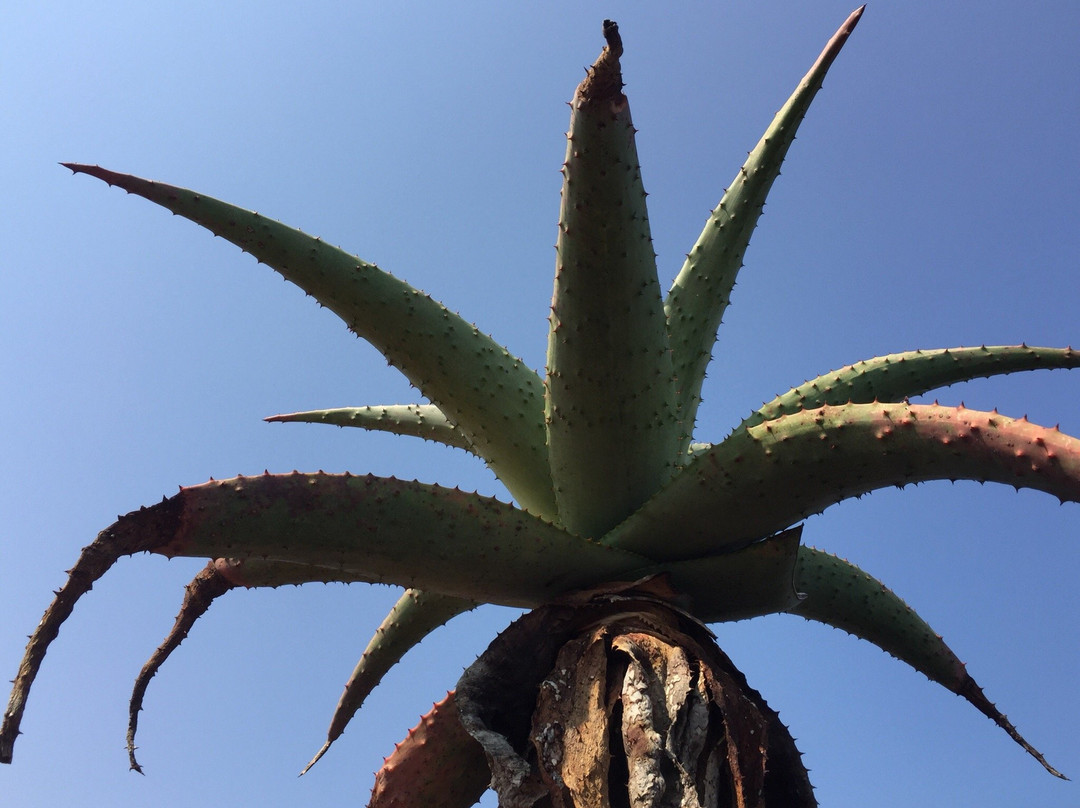 Sunset Beach Resort主图