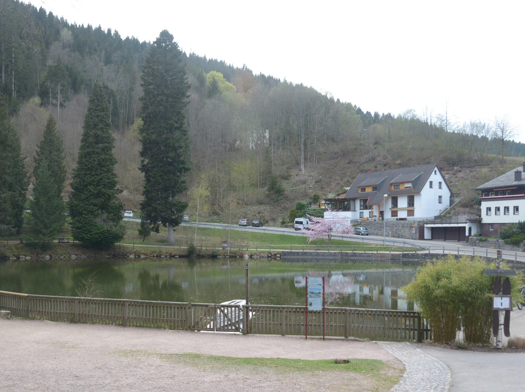 Bergsee景点图片
