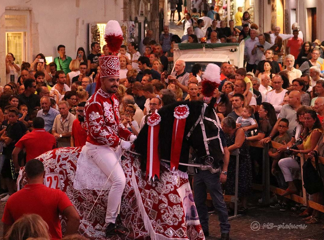Cavalcata di Sant'Oronzo-奥斯图尼必去景点