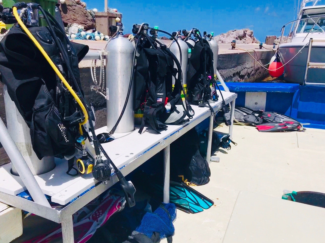 Saba Divers-Fort Bay必去景点