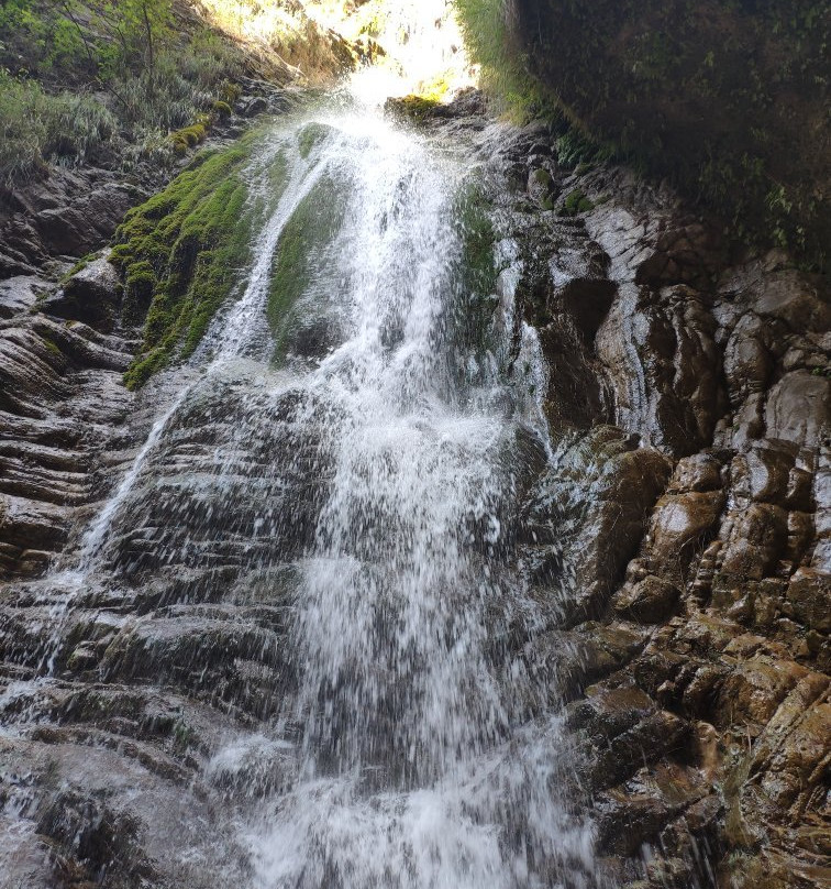 Trekking Hellas - Karpenisi Day Tours景点图片