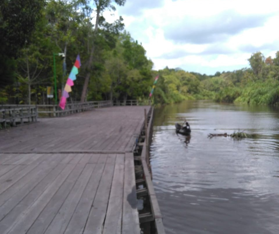 Tanjung Puting National Park-Central Kalimantan必去景点