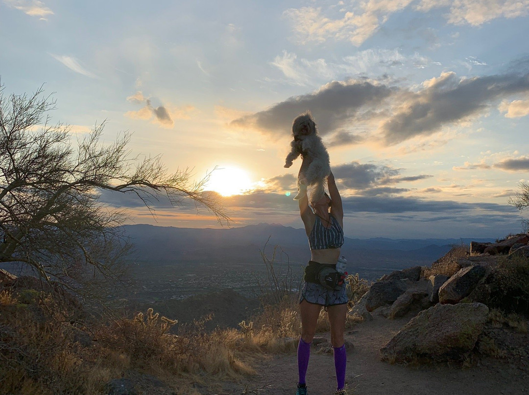 Sunrise Trailhead-斯科茨代尔必去景点