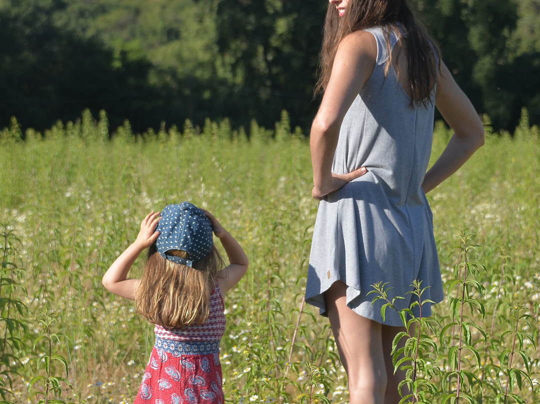 Valle del Arriero-Chimbarongo必去景点