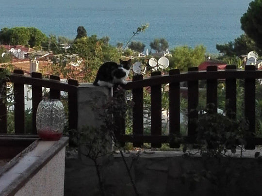 Elisa Butik Otel主图